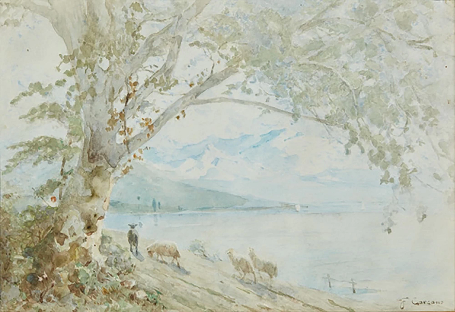 Paesaggio con albero e pecore presso la riva del mare